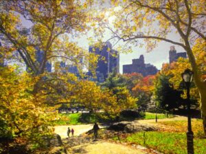 New York Central park art print